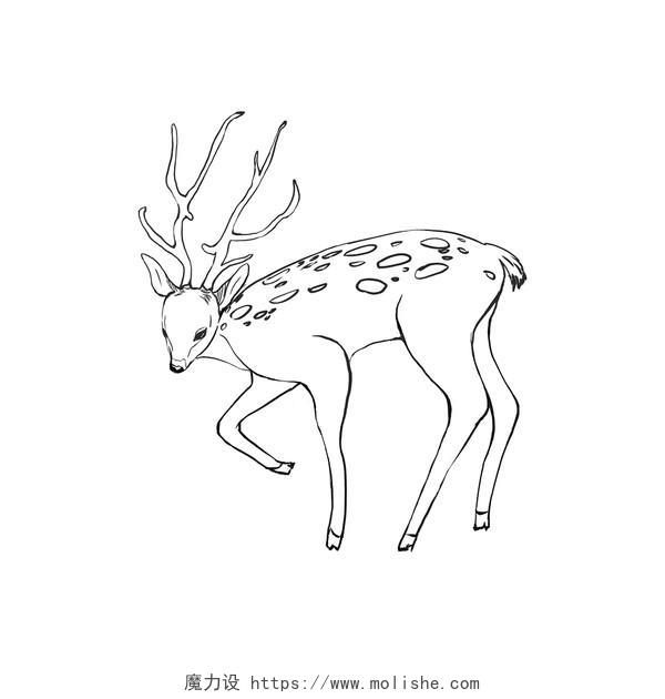 麋鹿简笔画麋鹿元素动物PNG素材